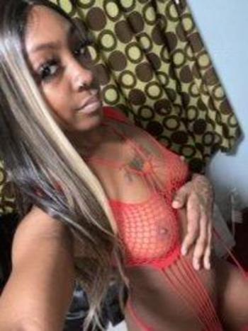 5184107586, female escort, Syracuse